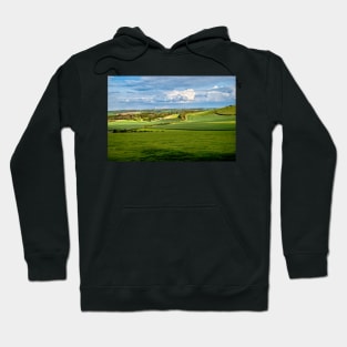 A View Of The Thames Valley Hoodie